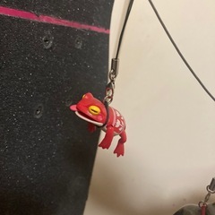 おさんぽカエルシークレットフラワー
の画像