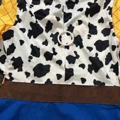 ★トイストーリーコスプレ★の画像