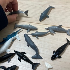 【募集中】海の生き物　小さめ　フィギュアの画像