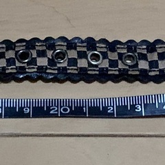 【断捨離中】ペット(犬用) 首輪とリードセットの画像
