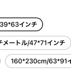 大きめラグ　薄手　青色の画像