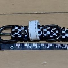 【断捨離中】ペット(犬用) 首輪とリードセットの画像