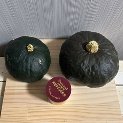 かぼちゃ　ブラックのジョーの画像