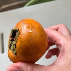 ラスト販売商品　くすみありの為お値下げ　和歌山県産　柿　1kgからの画像