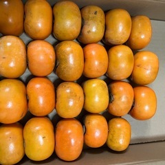 ラスト販売商品　くすみありの為お値下げ　和歌山県産　柿　1kgからの画像