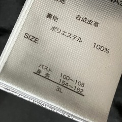 ライダース  3Lの画像