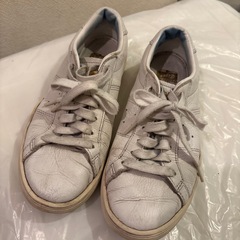 オニツカタイガー 23cmの画像