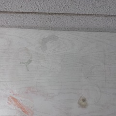 棚・ラックの画像