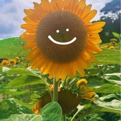 フットサル等、運動してみませんか？