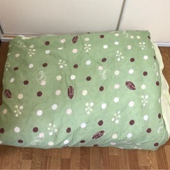 フェザー キルト Feather Quilt オリジナル生協 羽毛 掛け布団 シングル ★カバー付きの画像