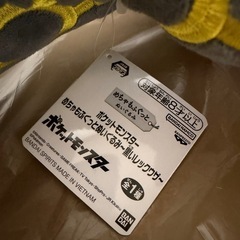 ポケットモンスター 黒いレックウザ 色違い シャイニーの画像