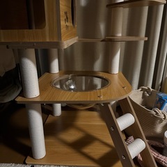 キャットタワーの画像