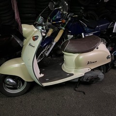 ビーノ快速❣️他在庫多数飛込見学大歓迎の画像