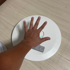 シーリングライト２つ無料の画像