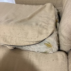 ソファーの画像