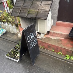 春菊､わけぎ苗ポットの画像
