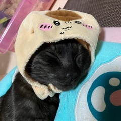 ママ友、友達募集中