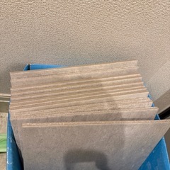 アイコットリョーワ　CA300 玄関用タイルの画像