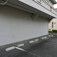 ソテツの伐採（約2ｍ）、チェーンソーをお持ちの方の画像