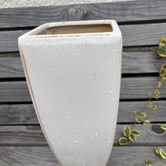 植木鉢3個
の画像