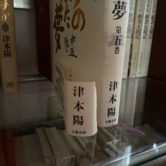 夢のまた夢の画像