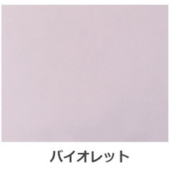 10／22午前まで【100万円相当】ダブルベッドの画像