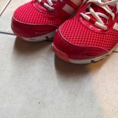 adidas 赤　23.5の画像