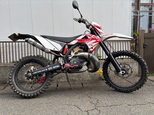 GASGAS EC 250改300