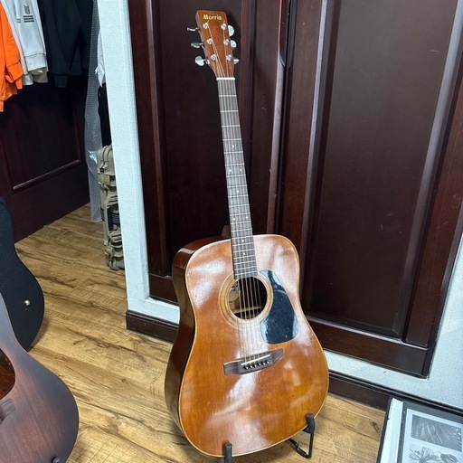 楽器 MORRIS MD 502