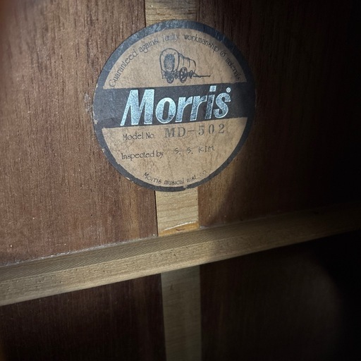 楽器 MORRIS MD 502
