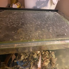 オルカT-60  ガラスオーバーフローす水槽の画像