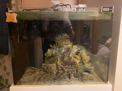 オルカT-60  ガラスオーバーフロー 水槽＋アクリル濾過水槽セット（水槽台なし）