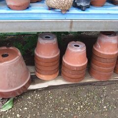 園芸用品、育苗箱,5号深鉢の画像
