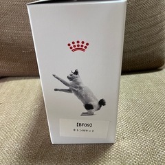 ロイヤルカナン♪子猫用（キトン）の画像