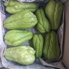 里芋　無人販売の画像