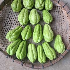 紫山芋　無人販売の画像