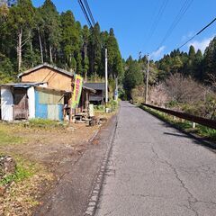 紫山芋　無人販売の画像