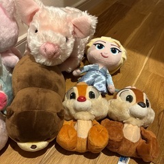 写真のぬいぐるみ全てまとめて！の画像