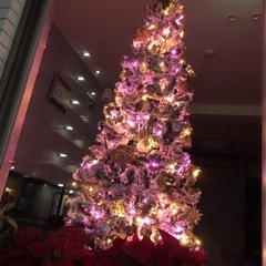 クリスマスツリー  180センチ
の画像