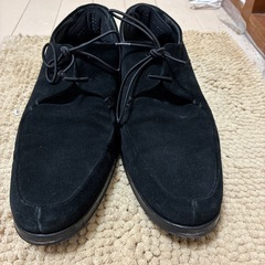 EMPORIO ARMANIの画像