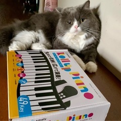 ピアノ教室生徒募集中！の画像