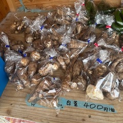 自家製　野菜の画像