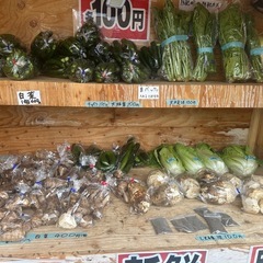 自家製　野菜の画像