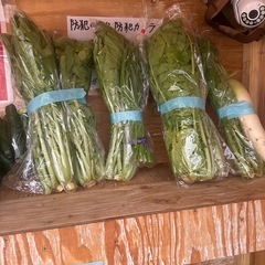 自家製　野菜の画像