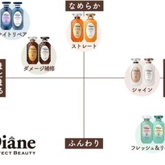 🟡ダイアン　トリートメント726mlの画像
