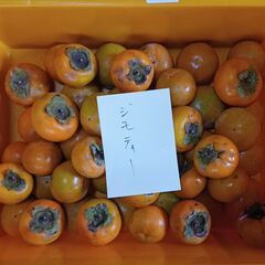 無農薬栽培の甘柿、ジャム、柿酒などに、中2個、小2個、計4個100円の画像