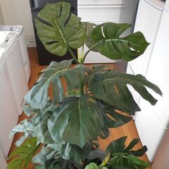 ♪フェイクグリーン 人工観葉植物 145cm♪の画像