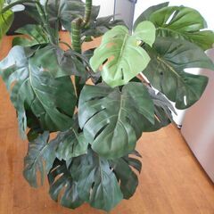 ♪フェイクグリーン 人工観葉植物 145cm♪の画像