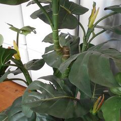 ♪フェイクグリーン 人工観葉植物 145cm♪の画像
