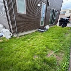 天然芝の画像